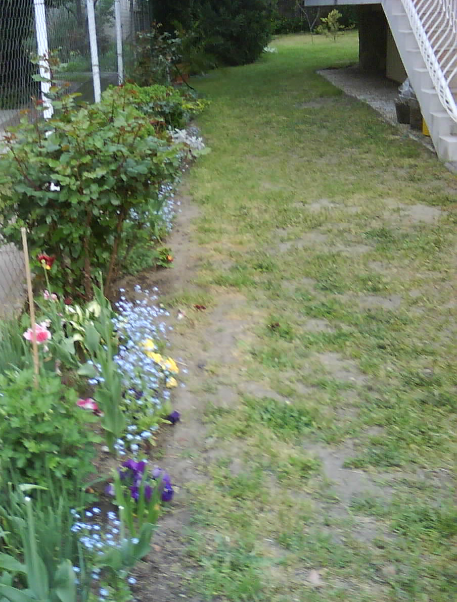 Homok talaj öntöző nélkül